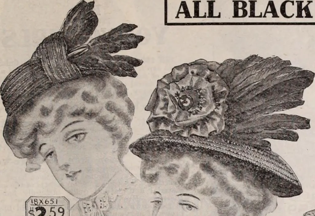 An illustration from [Catalog]., 1908, leaf 64
