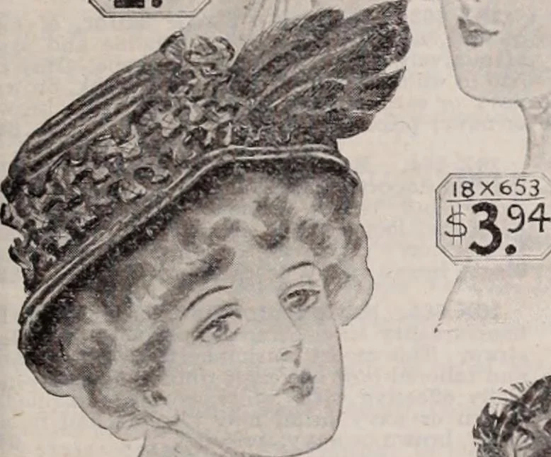 An illustration from [Catalog]., 1908, leaf 64