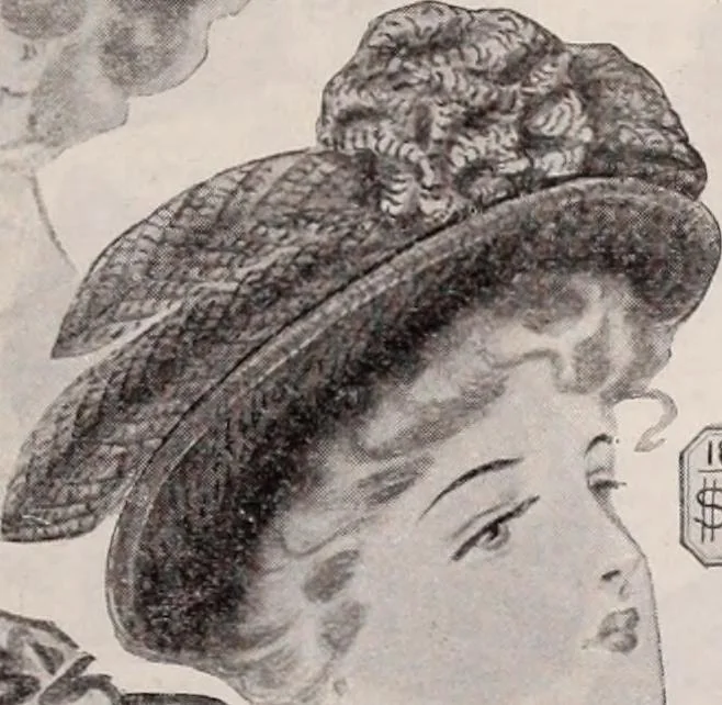 An illustration from [Catalog]., 1908, leaf 64