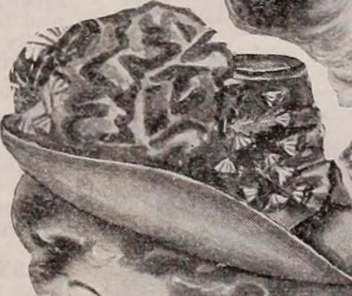 An illustration from [Catalog]., 1908, leaf 64