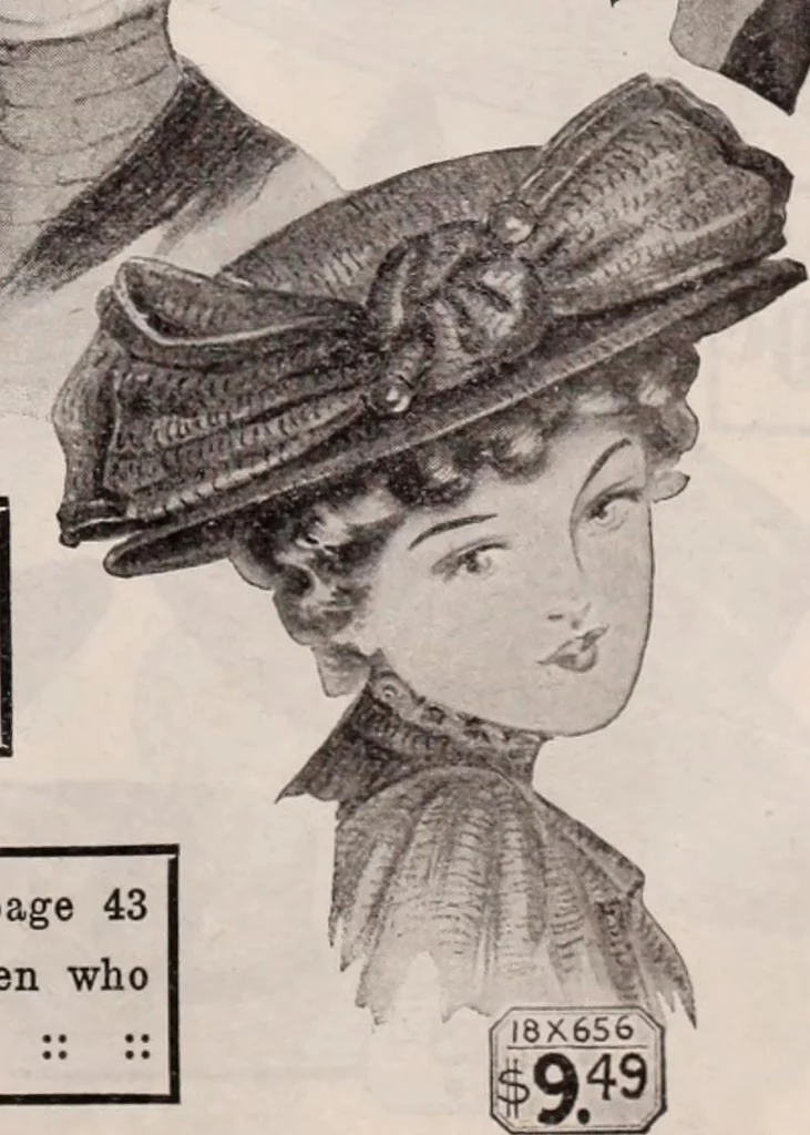 An illustration from [Catalog]., 1908, leaf 64