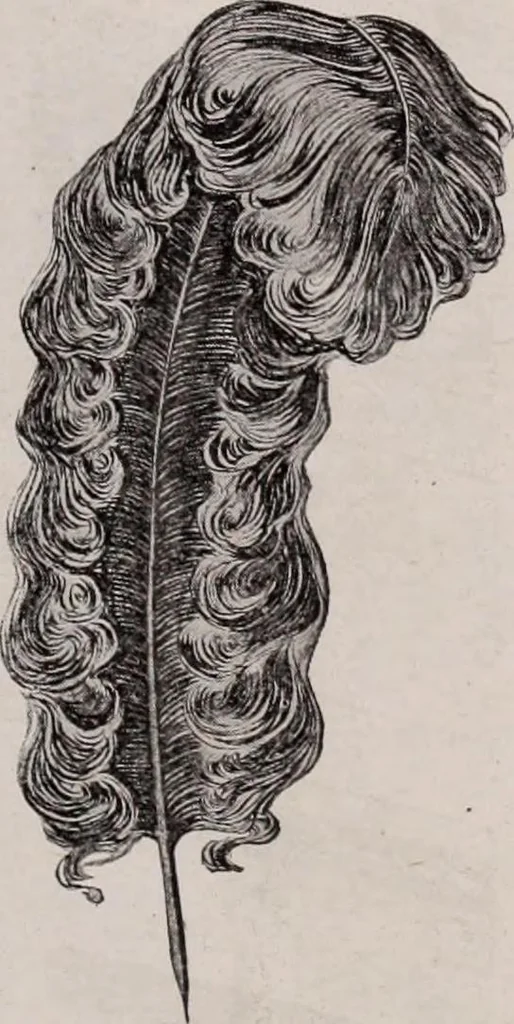 An illustration from [Catalog]., 1908, leaf 68