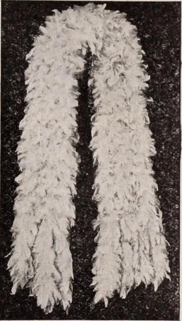 An illustration from [Catalog]., 1908, leaf 68
