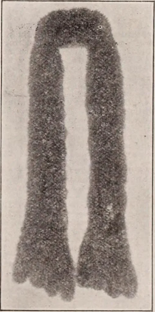 An illustration from [Catalog]., 1908, leaf 68