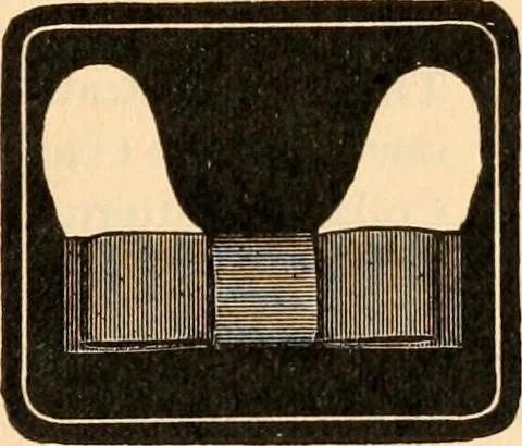 An illustration from [Catalog], 1902, leaf 12