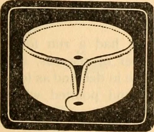 An illustration from [Catalog], 1902, leaf 6