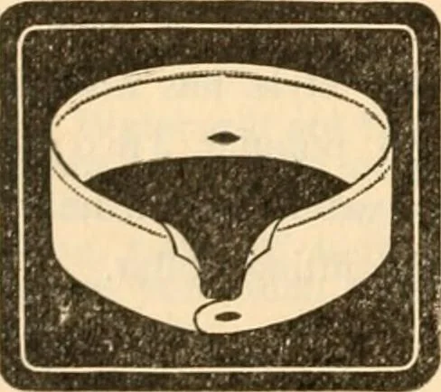 An illustration from [Catalog], 1902, leaf 7