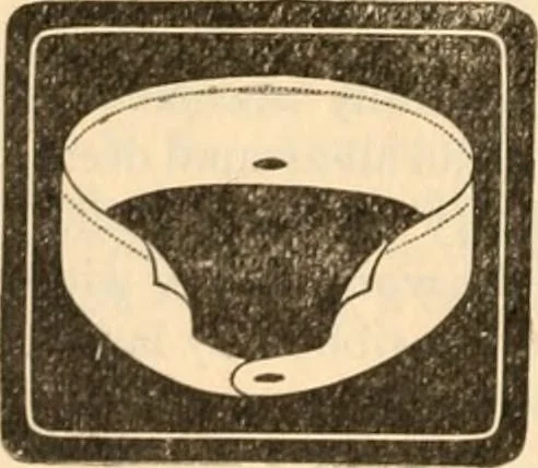 An illustration from [Catalog], 1902, leaf 7