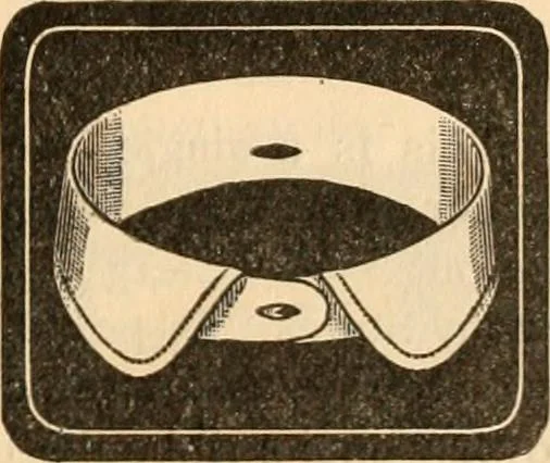 An illustration from [Catalog], 1902, leaf 8