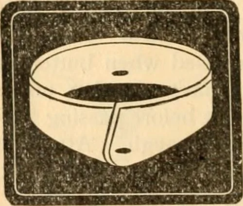 An illustration from [Catalog], 1902, leaf 9