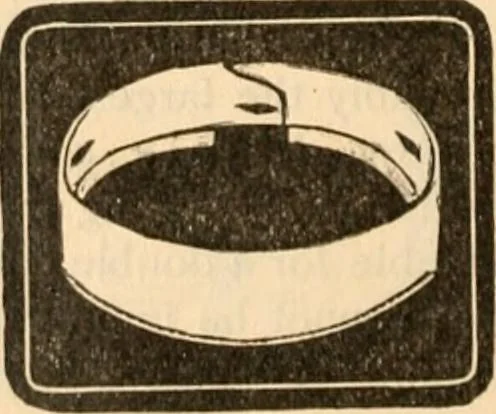 An illustration from [Catalog], 1902, leaf 9