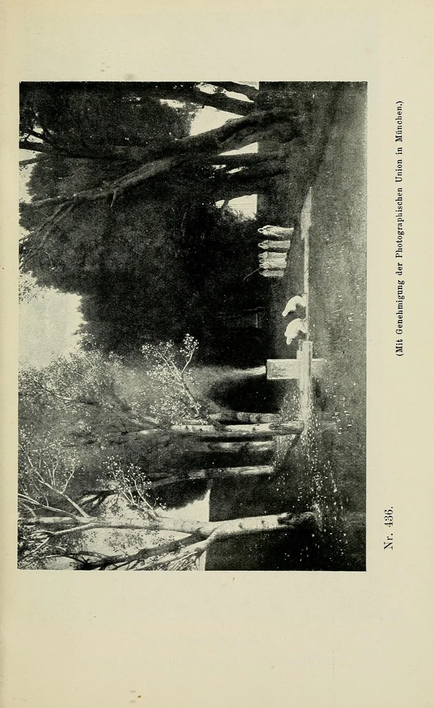 An illustration from Catalog der öffentlichen Kunstsammlung von Basel .., 1904, leaf 133