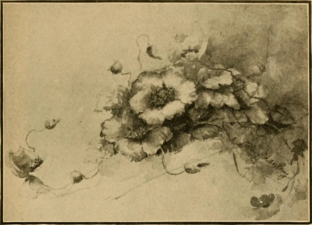 An illustration from Catalog E., 1909, leaf 10