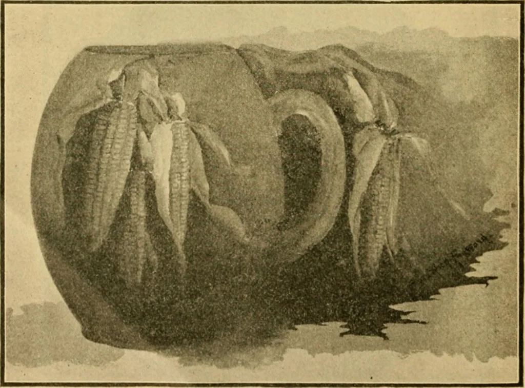 An illustration from Catalog E., 1909, leaf 11