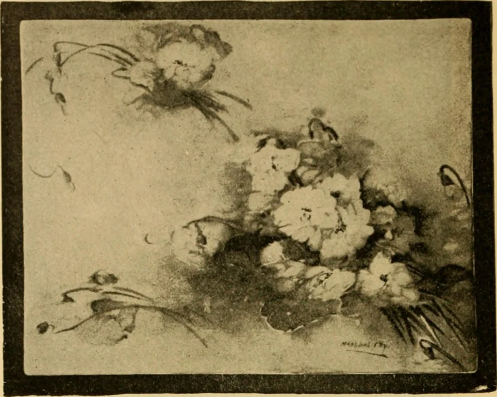 An illustration from Catalog E., 1909, leaf 13