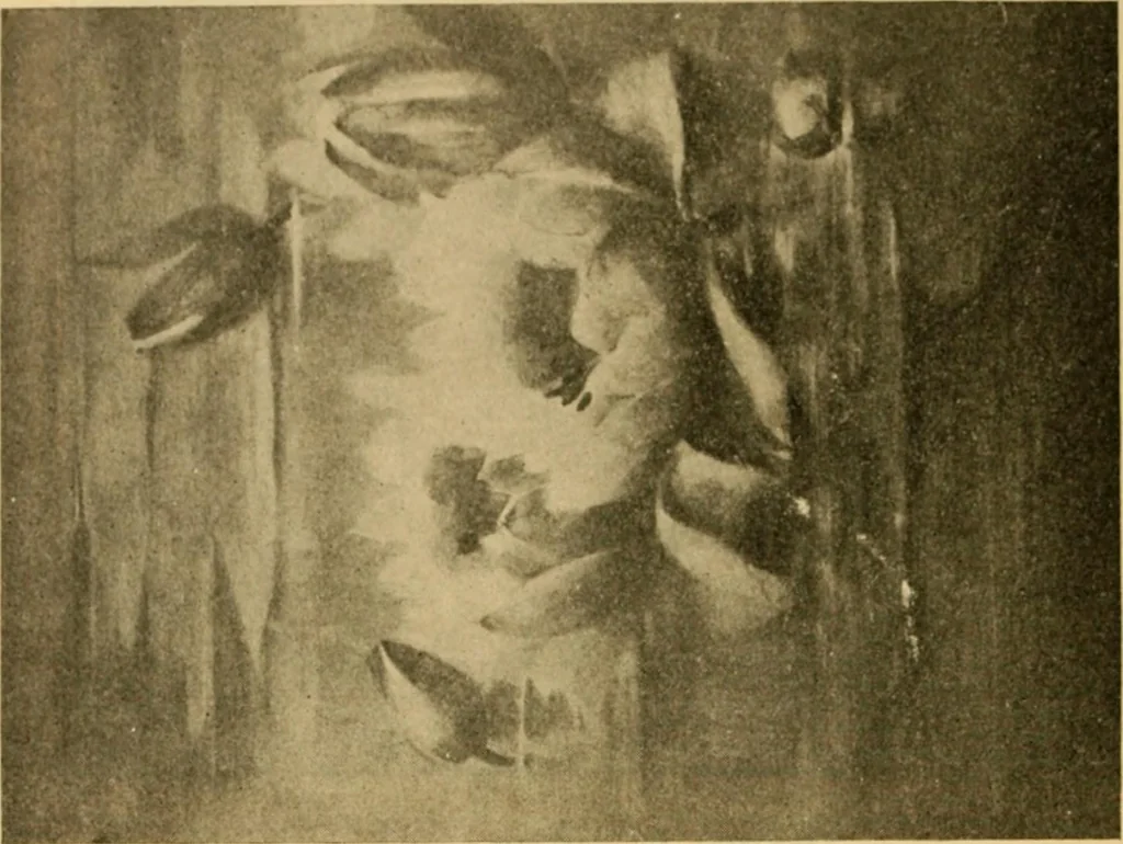 An illustration from Catalog E., 1909, leaf 17
