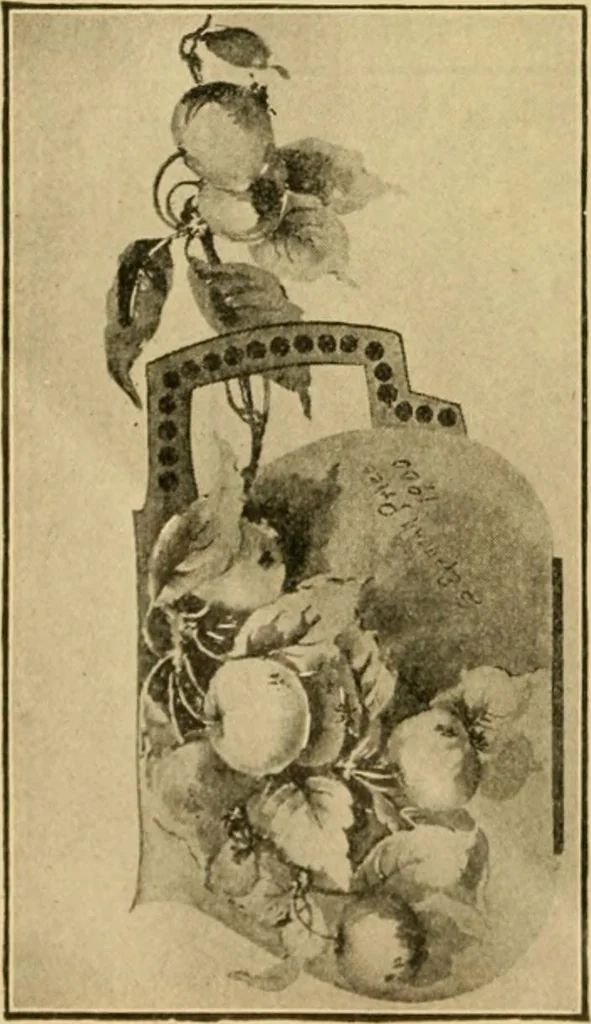 An illustration from Catalog E., 1909, leaf 19