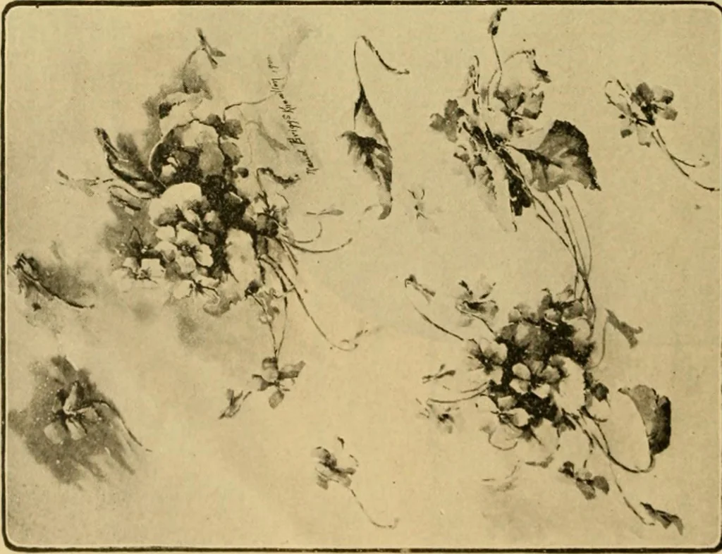 An illustration from Catalog E., 1909, leaf 21