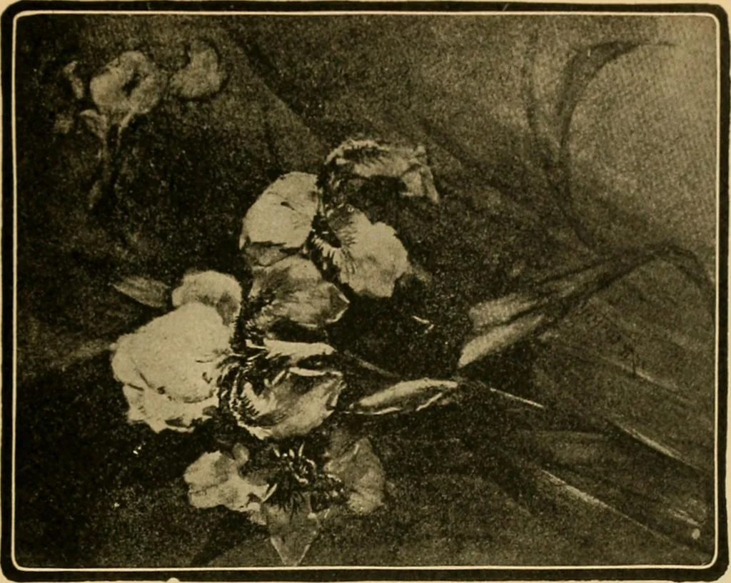 An illustration from Catalog E., 1909, leaf 22