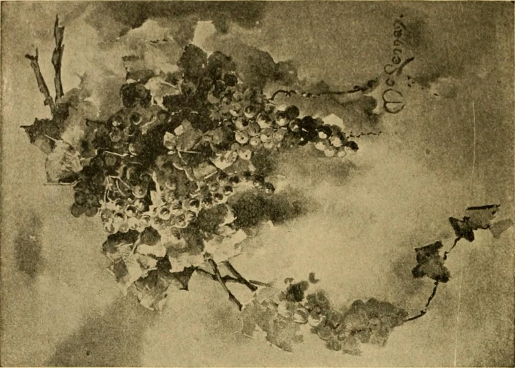 An illustration from Catalog E., 1909, leaf 25