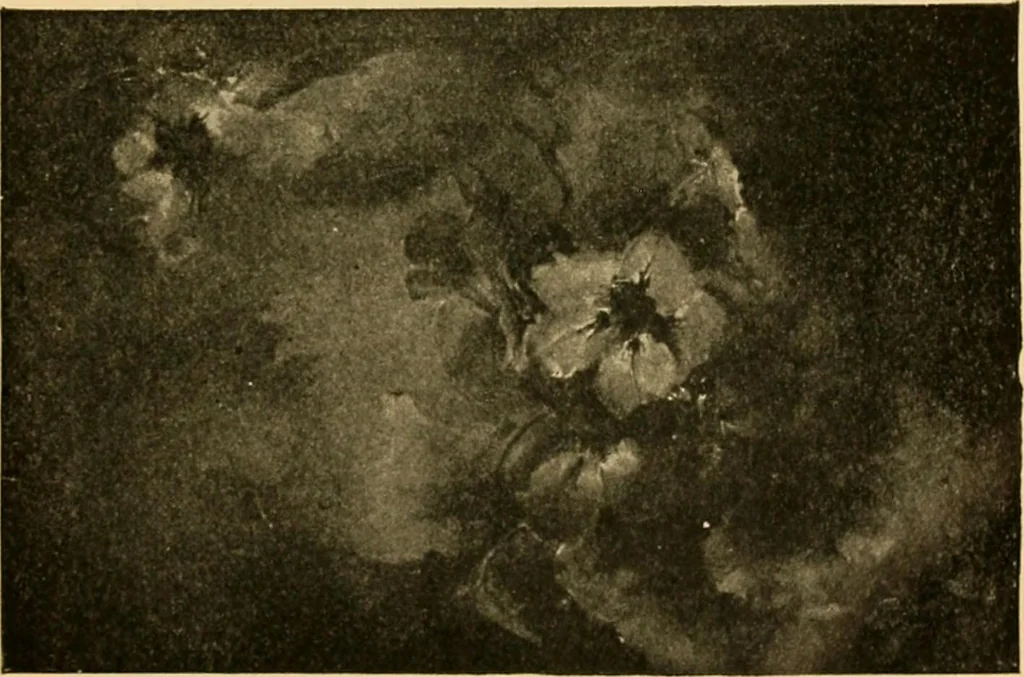 An illustration from Catalog E., 1909, leaf 26