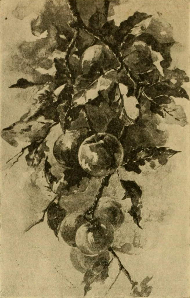An illustration from Catalog E., 1909, leaf 29