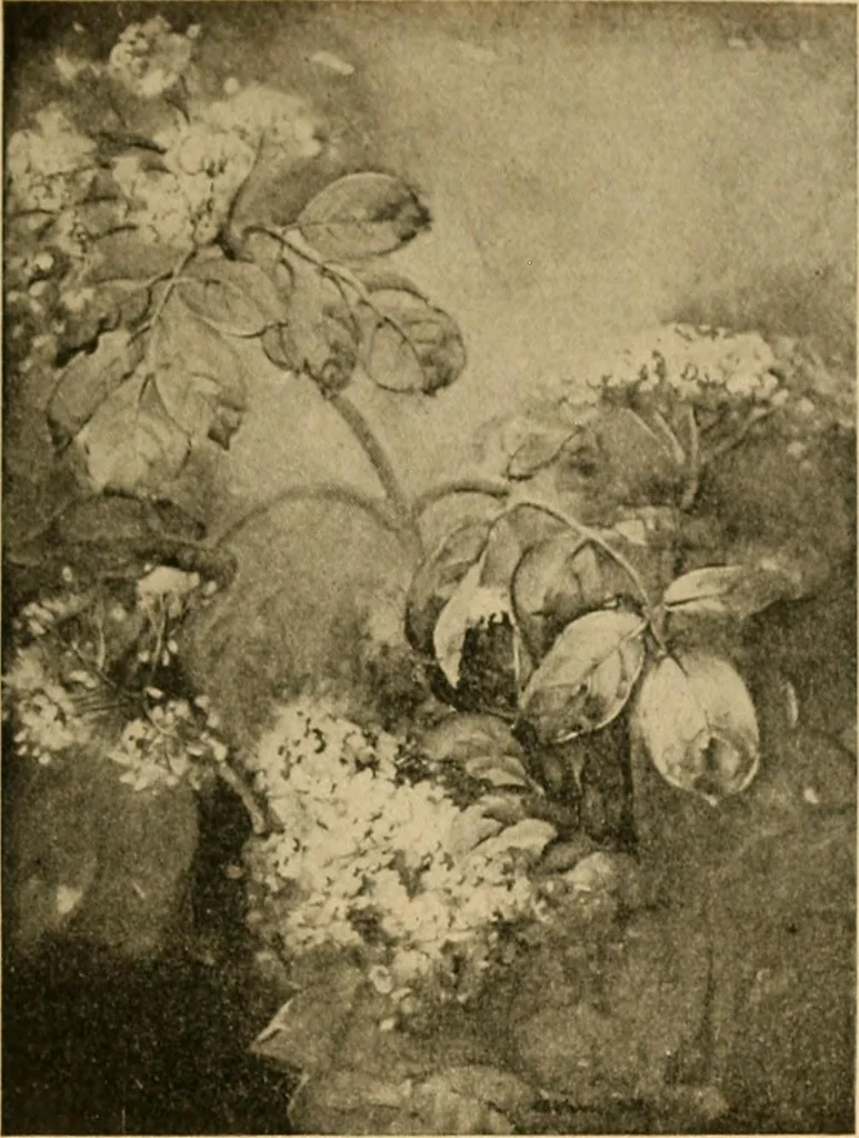 An illustration from Catalog E., 1909, leaf 30