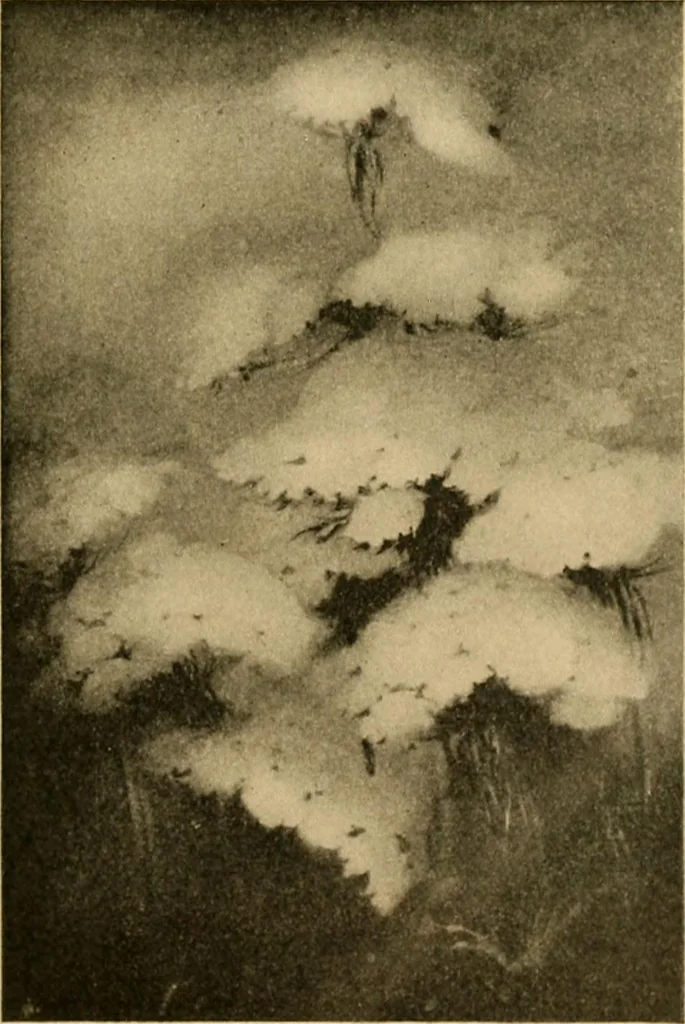 An illustration from Catalog E., 1909, leaf 30