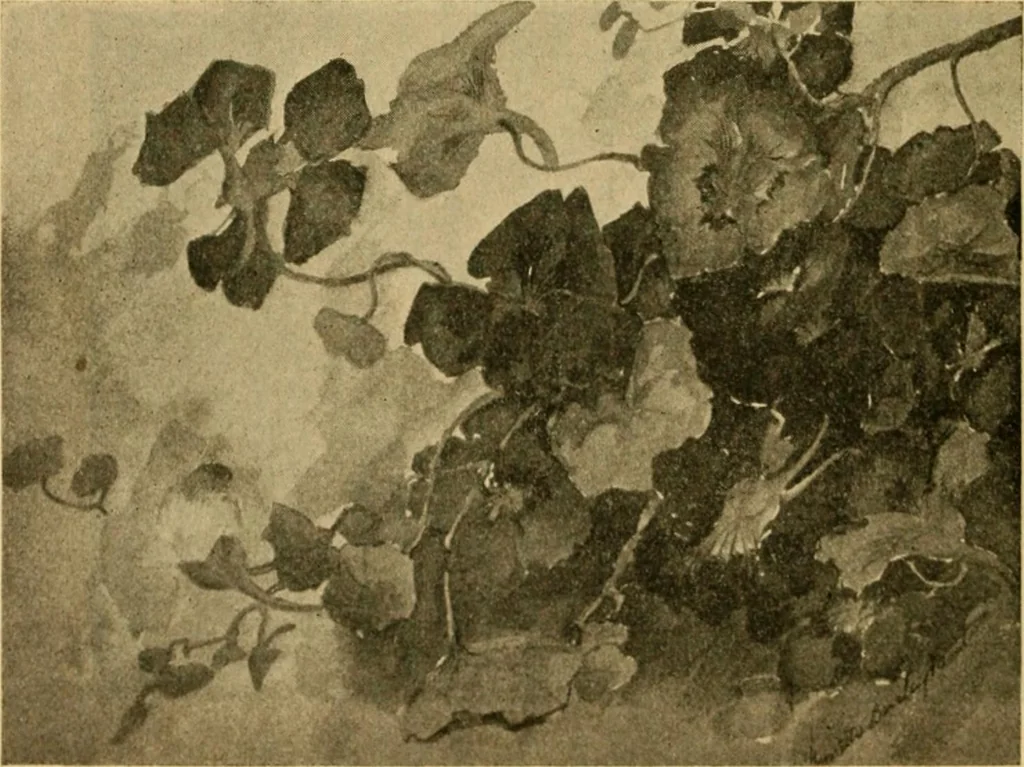 An illustration from Catalog E., 1909, leaf 33