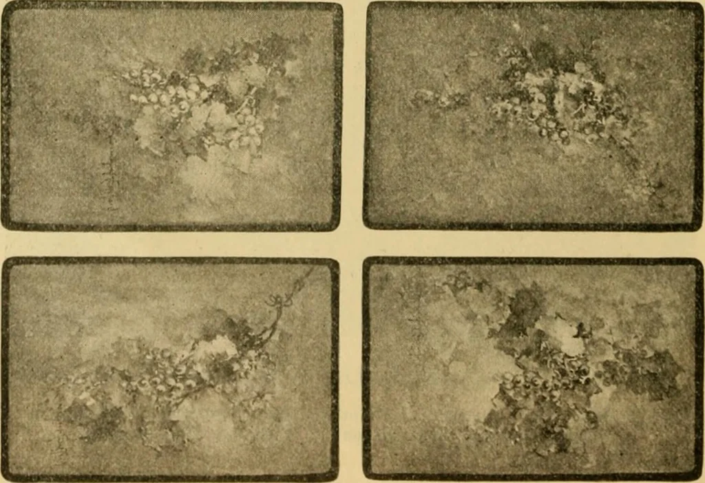 An illustration from Catalog E., 1909, leaf 35