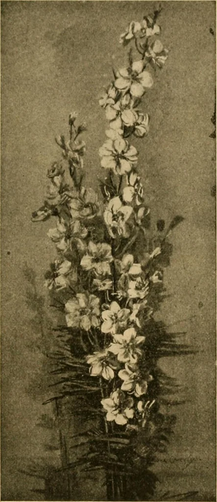 An illustration from Catalog E., 1909, leaf 42