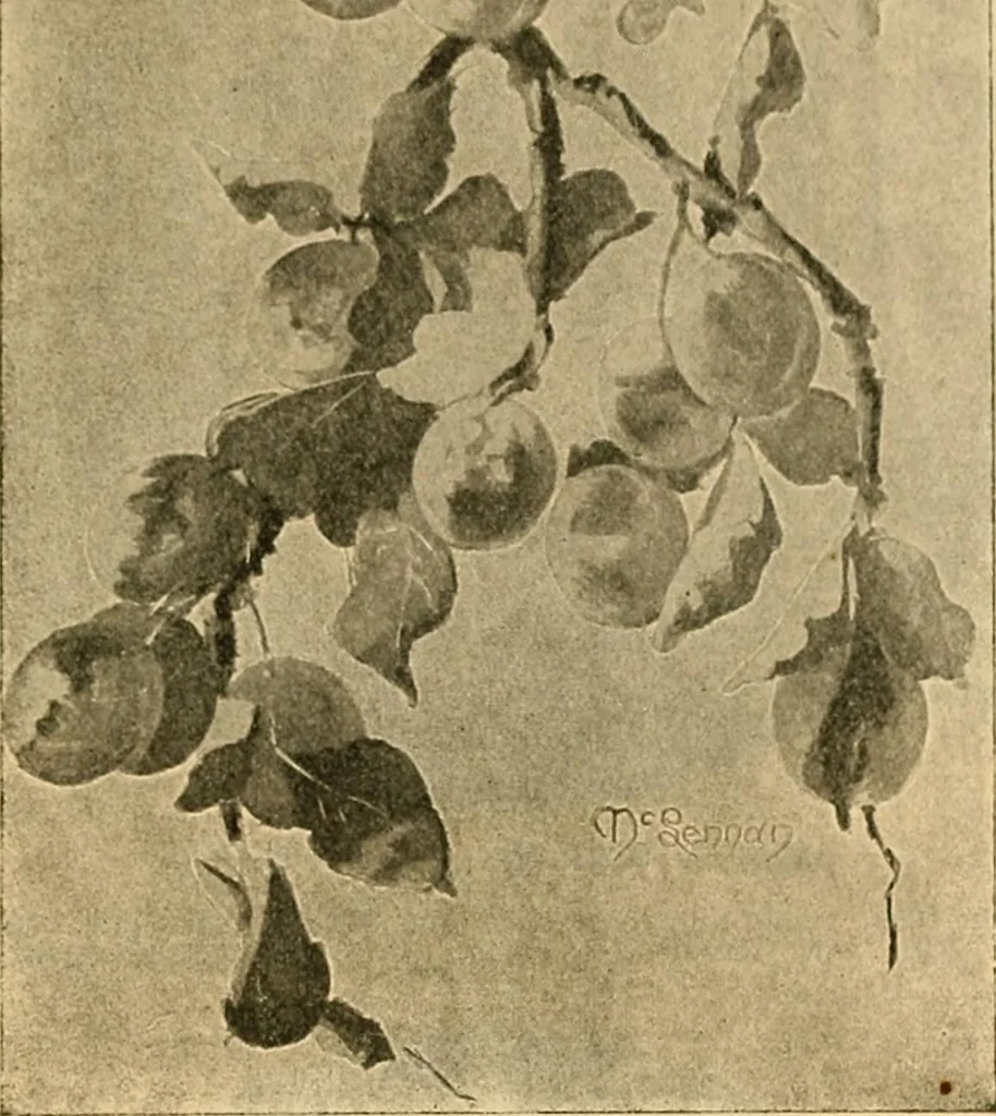 An illustration from Catalog E., 1909, leaf 44