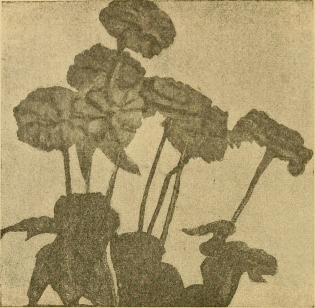 An illustration from Catalog E., 1909, leaf 47