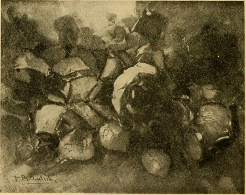 An illustration from Catalog E., 1909, leaf 49