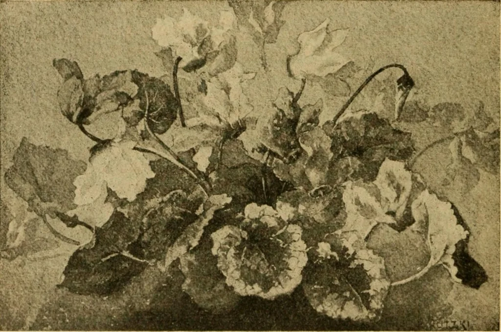 An illustration from Catalog E., 1909, leaf 51