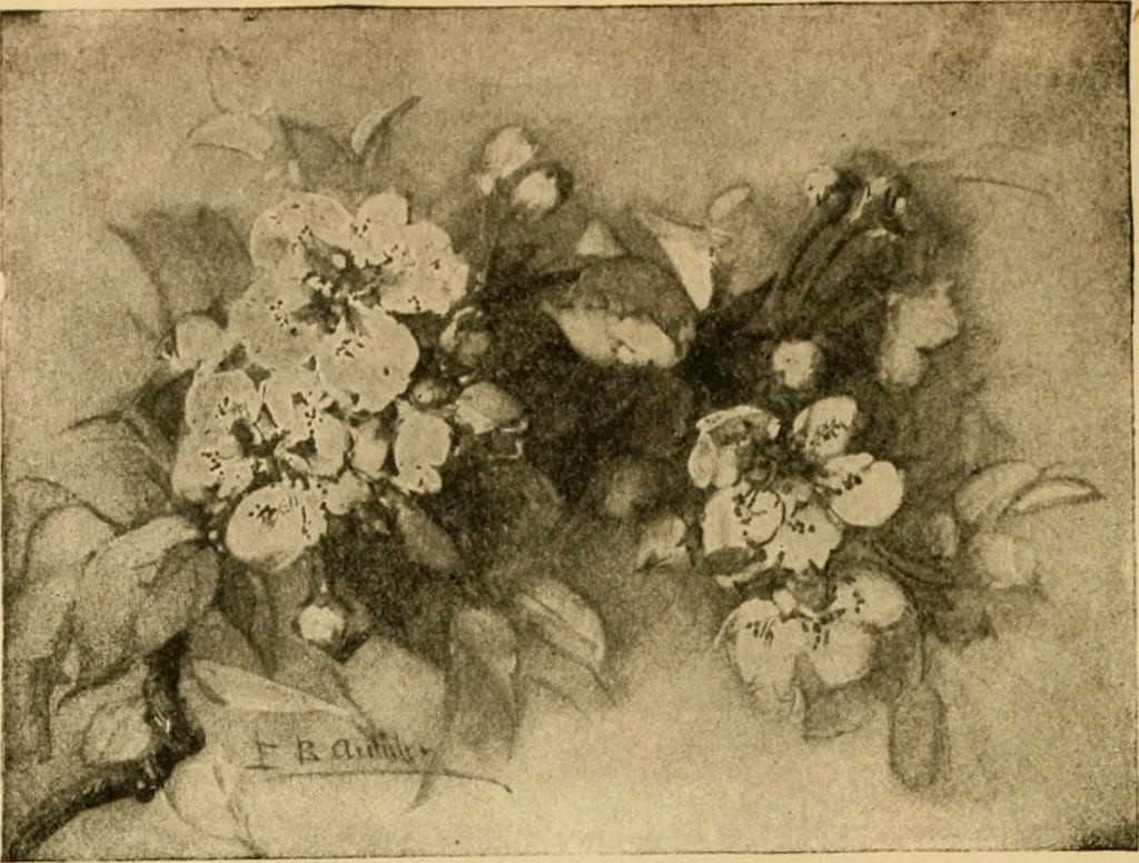 An illustration from Catalog E., 1909, leaf 53