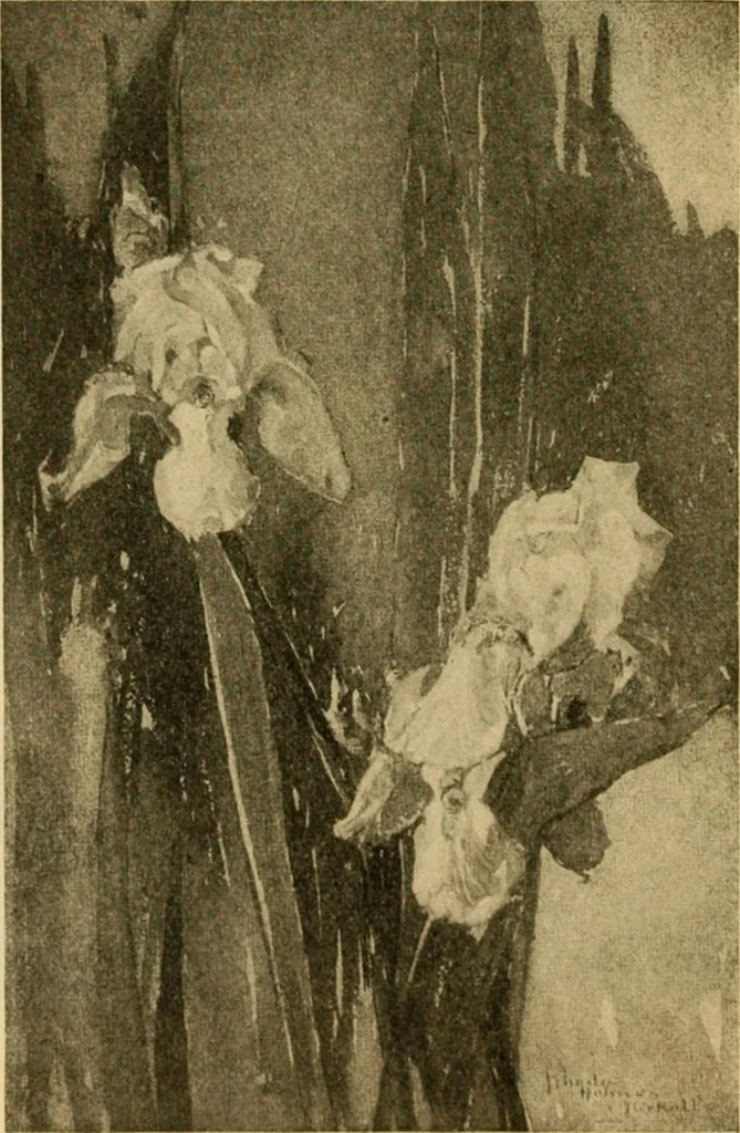 An illustration from Catalog E., 1909, leaf 53