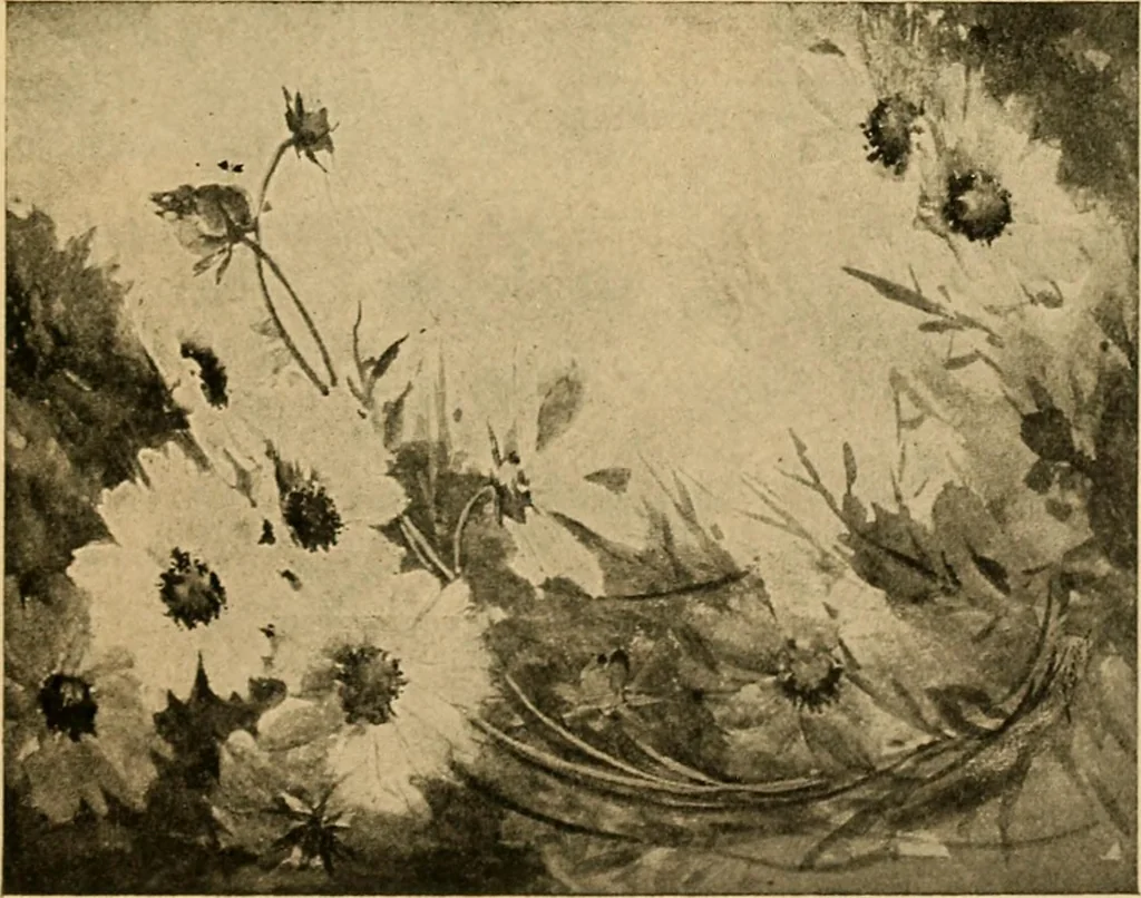 An illustration from Catalog E., 1909, leaf 56