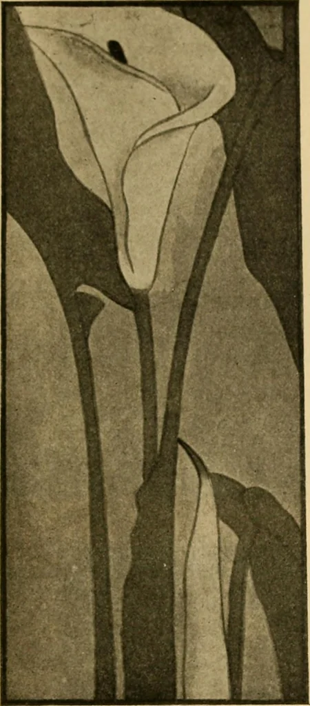 An illustration from Catalog E., 1909, leaf 58