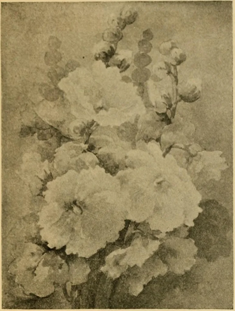 An illustration from Catalog E., 1909, leaf 60