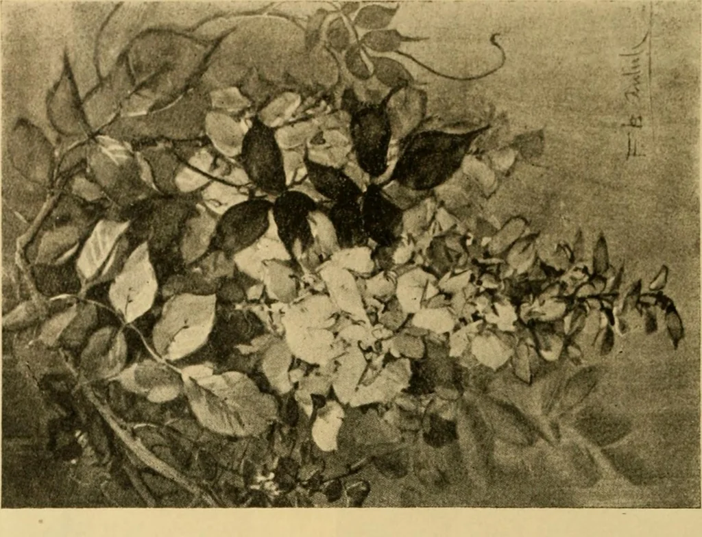 An illustration from Catalog E., 1909, leaf 61