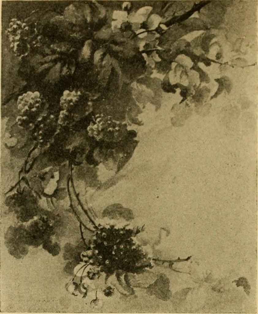 An illustration from Catalog E., 1909, leaf 63