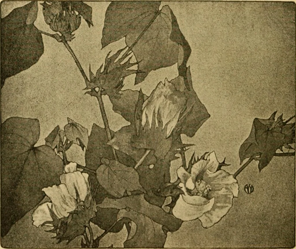 An illustration from Catalog E., 1909, leaf 63