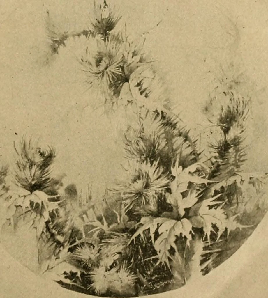 An illustration from Catalog E., 1909, leaf 8