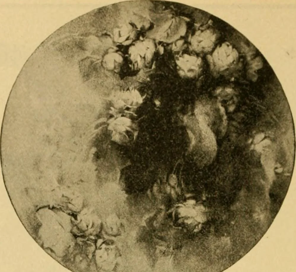 An illustration from Catalog E., 1909, leaf 9