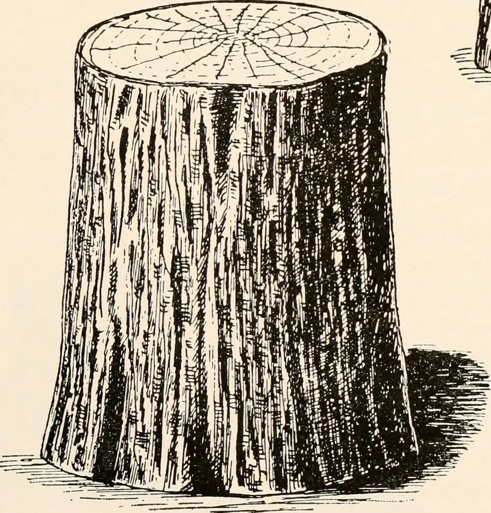 An illustration from Catalog no. 177, 1911, leaf 102