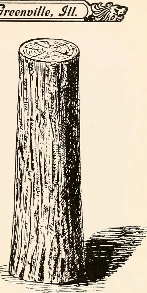An illustration from Catalog no. 177, 1911, leaf 102