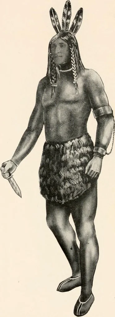 An illustration from Catalog no. 177, 1911, leaf 21