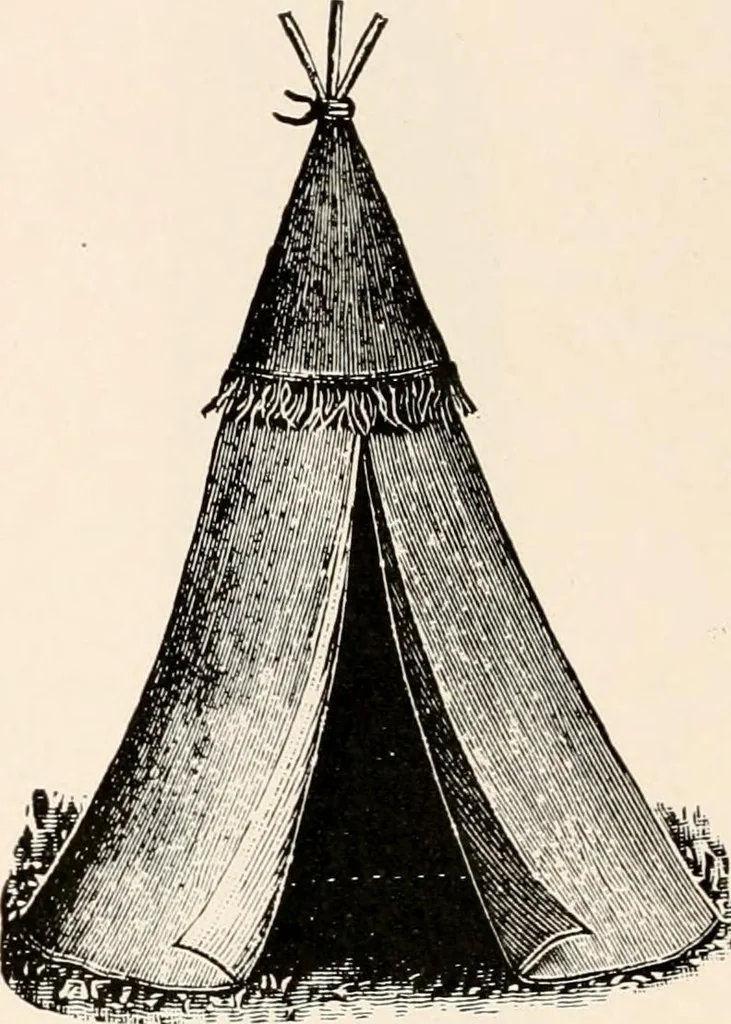 An illustration from Catalog no. 177, 1911, leaf 73
