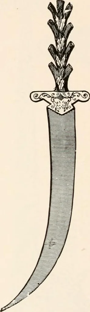 An illustration from Catalog no. 177, 1911, leaf 77